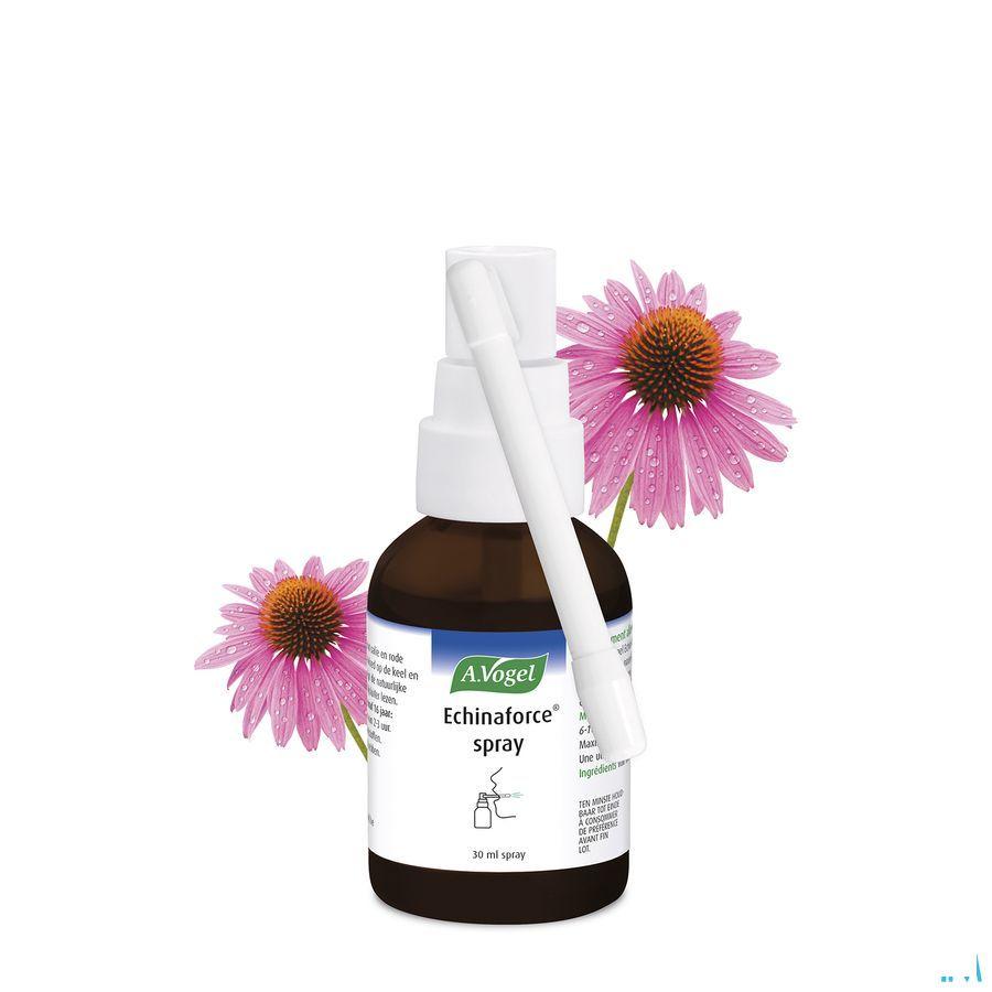 Vogel Echinaforce Spray Immunite 30 ml  -  A.vogel