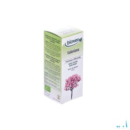 Valeriaan Teinture Bio 50 ml   -  Ocebio