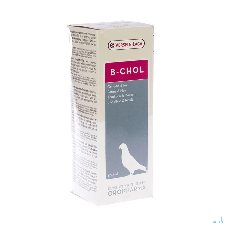 Biochol Oplossing 500 ml