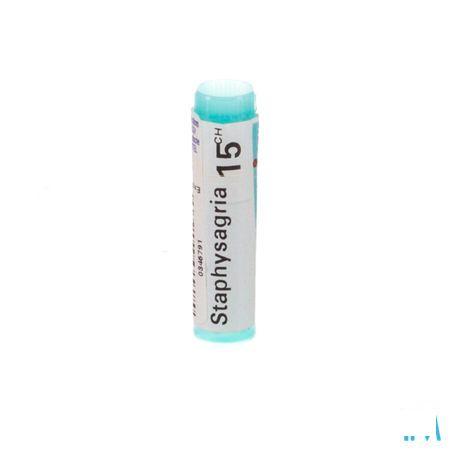 Staphysagria 15CH Gl  -  Boiron