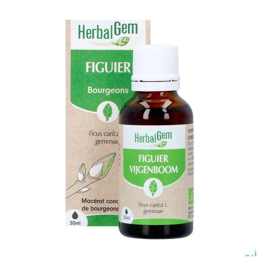 Herbalgem Vijgenboom Bio 30 ml