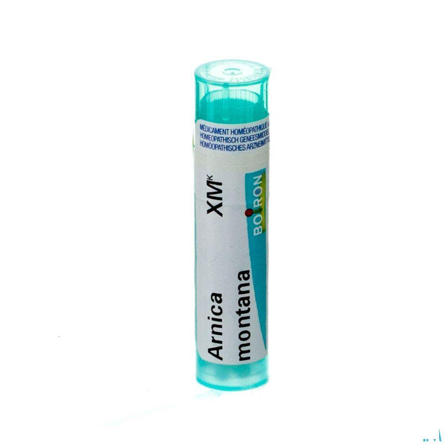 Arnica Montana XMK Gr 4g  -  Boiron