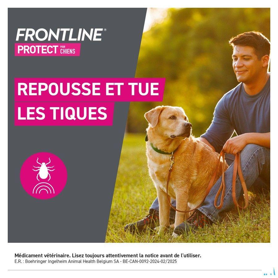 Frontline Protect Spot On Sol Chien 20-40Kg Pipet3