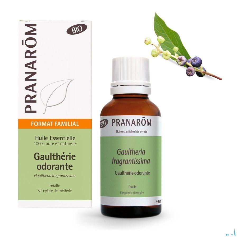 Bergthee Bio Essentiele Olie 30 ml  -  Pranarom