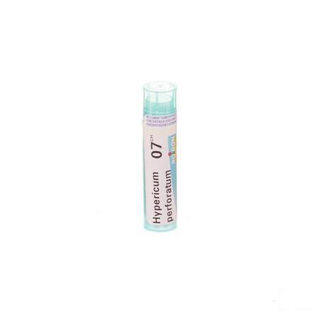 Hypericum Perforatum 7CH Gr 4g  -  Boiron