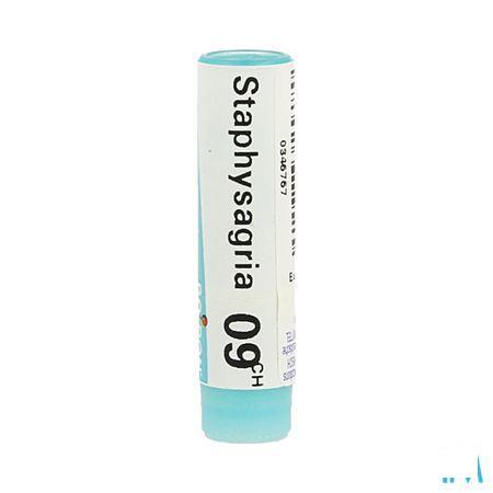 Staphysagria 9CH Gl  -  Boiron