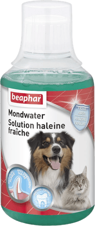 Beaphar Mondwater 250 ml