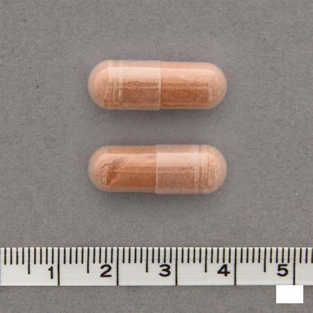 Ultra Green Tea V-Capsule 90   -  Nutrisan