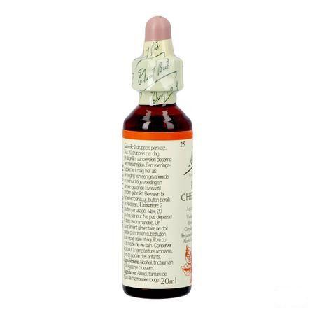 Bach Flower Remedie 25 Red Chestnut 20 ml