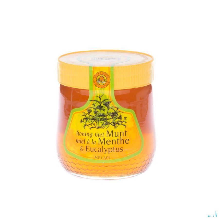 Melapi Honing Menthol Vloeibaar 500 gr 5572  -  Revogan