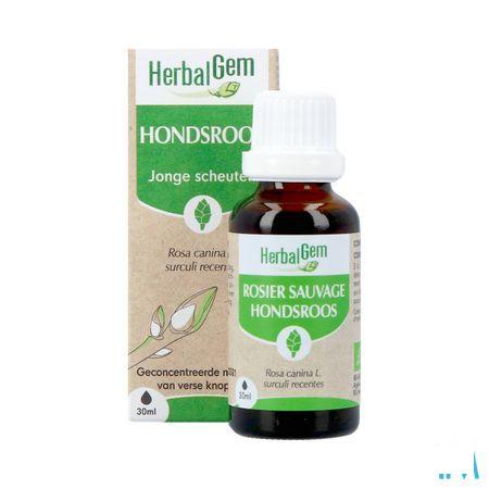 Herbalgem Rosier Sa Bio 30 ml
