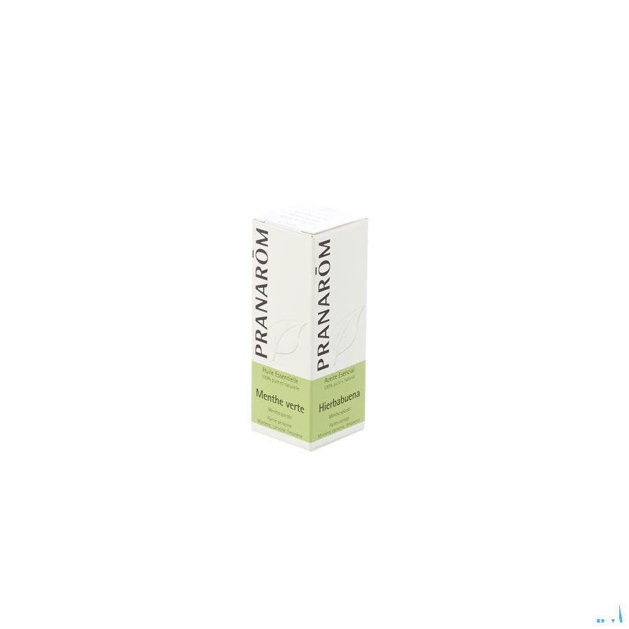 Groene Munt Essentiele Olie 10 ml  -  Pranarom