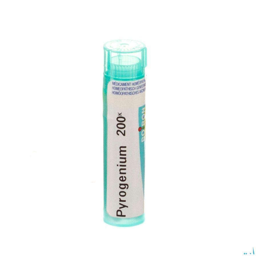 Pyrogenium 200K Gr 4g  -  Boiron