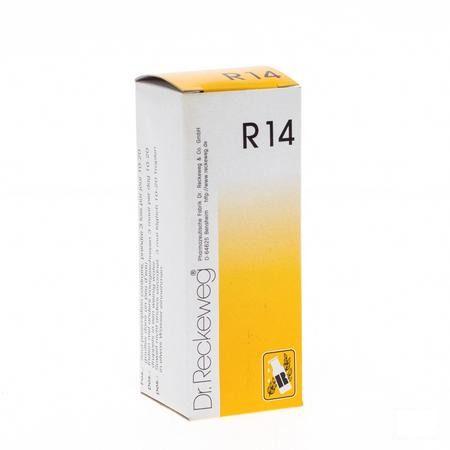 Reckeweg Dr. R14 Druppels 50 ml  -  Nut-Hom-Phyt