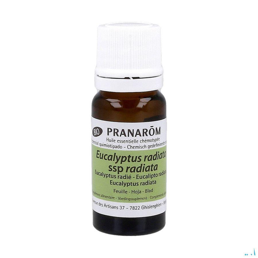 Eucalyptus Radie Bio Essentiele Olie 10 ml  -  Pranarom