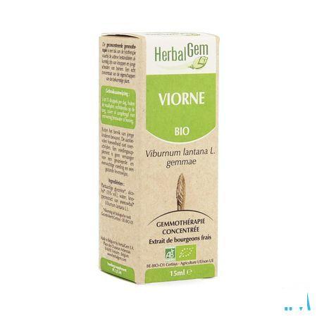 Herbalgem Wollige Sneeuwbal Maceraat 15 ml  -  Herbalgem