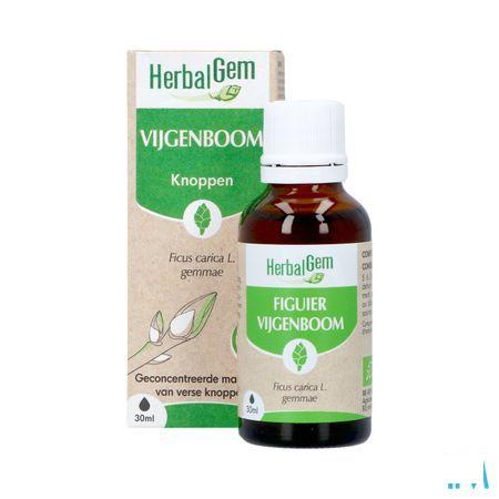 Herbalgem Figuier Bio 30 ml