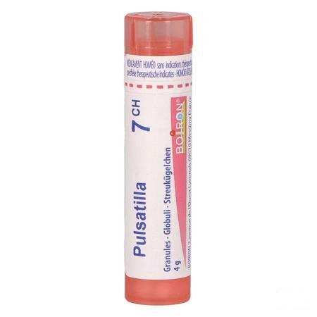 Pulsatilla 7CH Gr 4g  -  Boiron