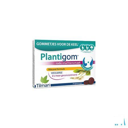 Plantigom Gommes 24 Nf