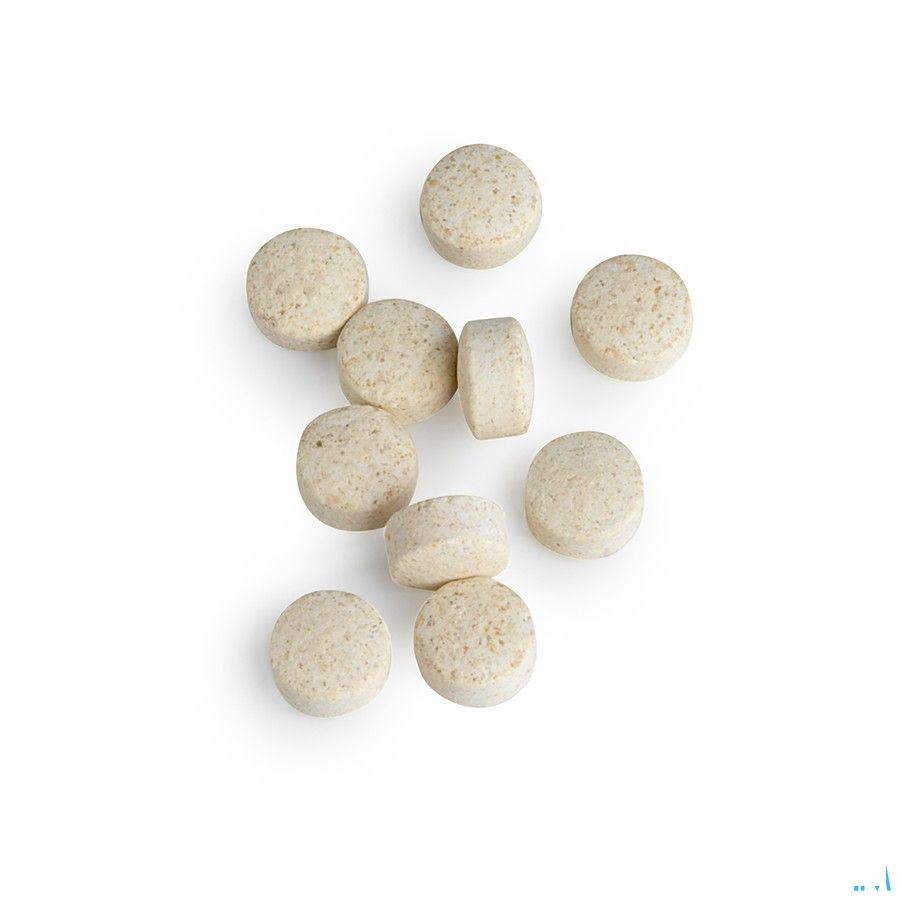 Cytozyme Pan Biotics Comp 90  -  Energetica Natura
