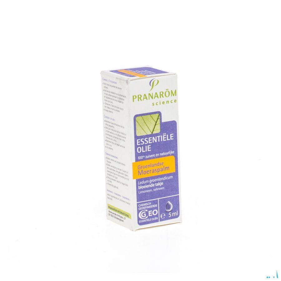 Ledon Groenland Huile Essentielle 5 ml  -  Pranarom