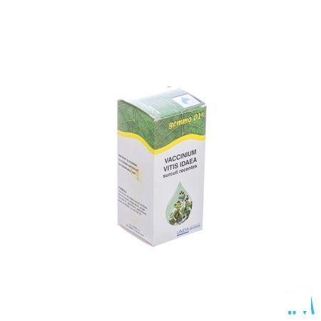 Vaccinium Vit.id.gemmo D1 125 mlboiron  -  Boiron