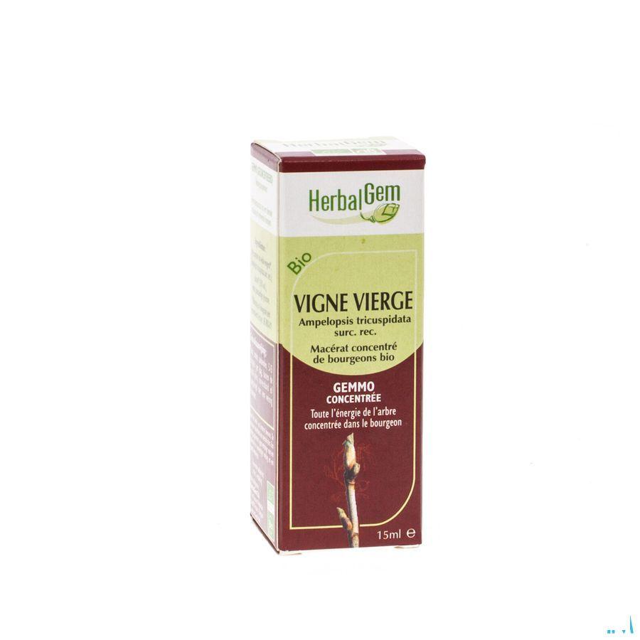 Herbalgem Wilde Wingerd Maceraat 15 ml  -  Herbalgem