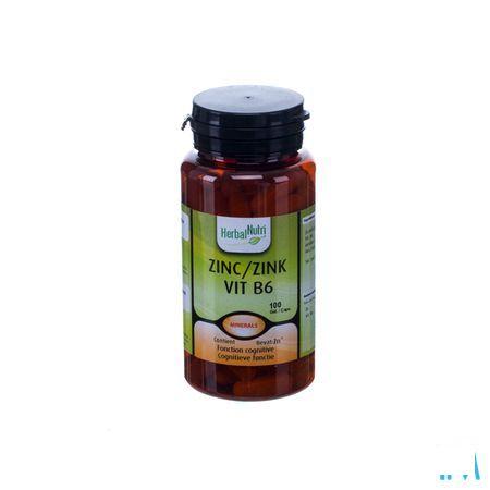 Herbalnutri Zink Vit B6 Gel 100  -  Herbalgem