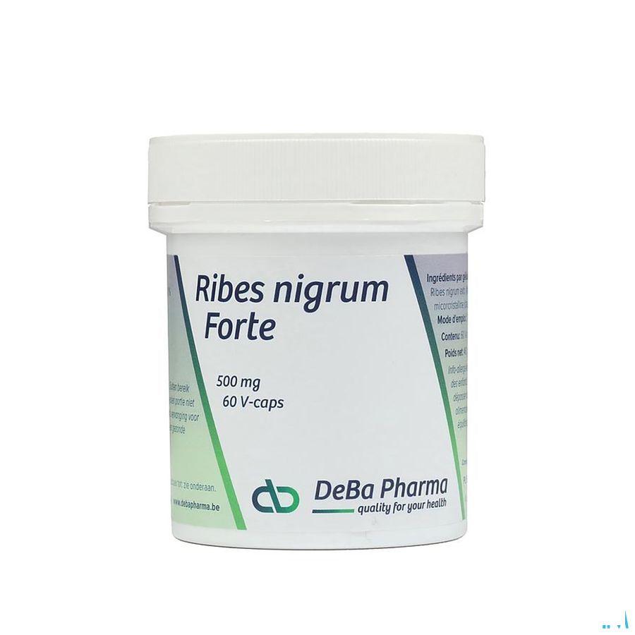 Ribes Nigrum V-Capsule 60  -  Deba Pharma