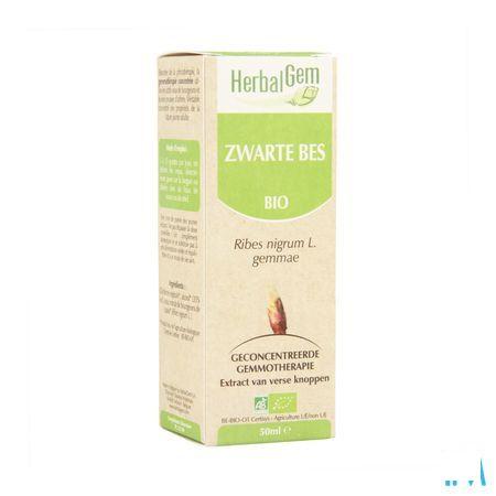 Herbalgem Zwarte Bes Maceraat 50 ml  -  Herbalgem