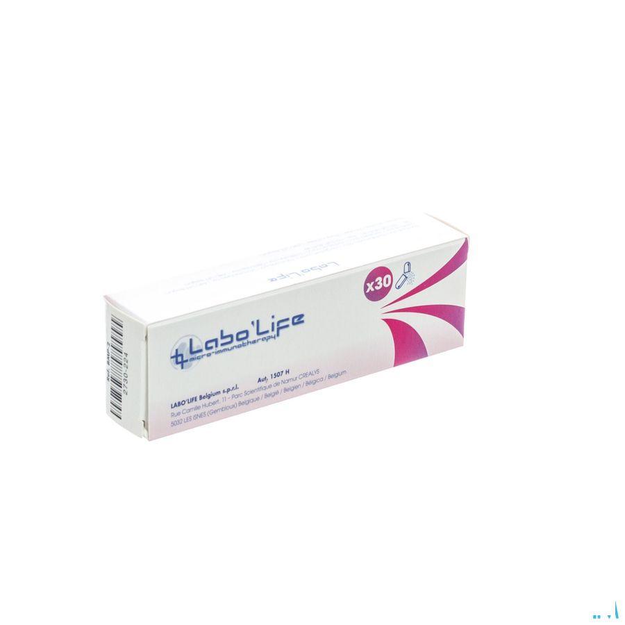 Bmp2 5CH Capsule 30  -  Labo Life