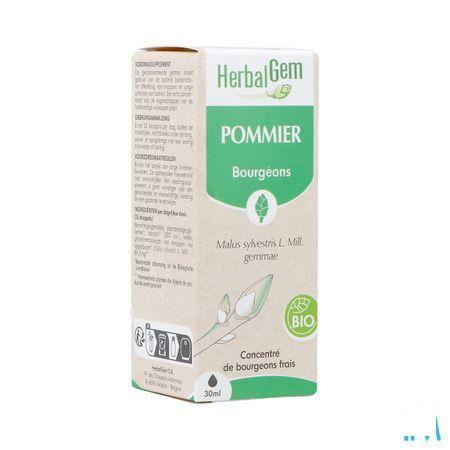 Herbalgem Appelboom Bio 30 ml