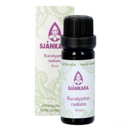 Sjankara Eucalyptus Radiata Ess. Olie Bio 11 ml