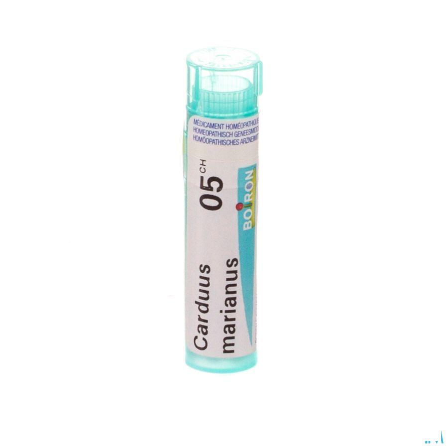 Carduus Marianus 5CH Gr 4g  -  Boiron
