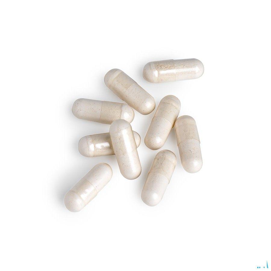 Serozol Biotics Caps 120  -  Energetica Natura