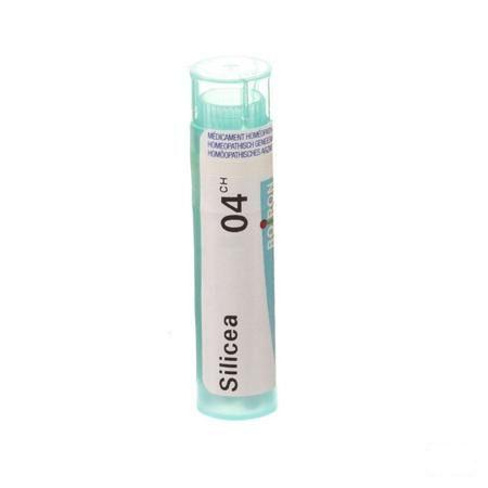 Silicea 4ch Gr 4g  -  Boiron