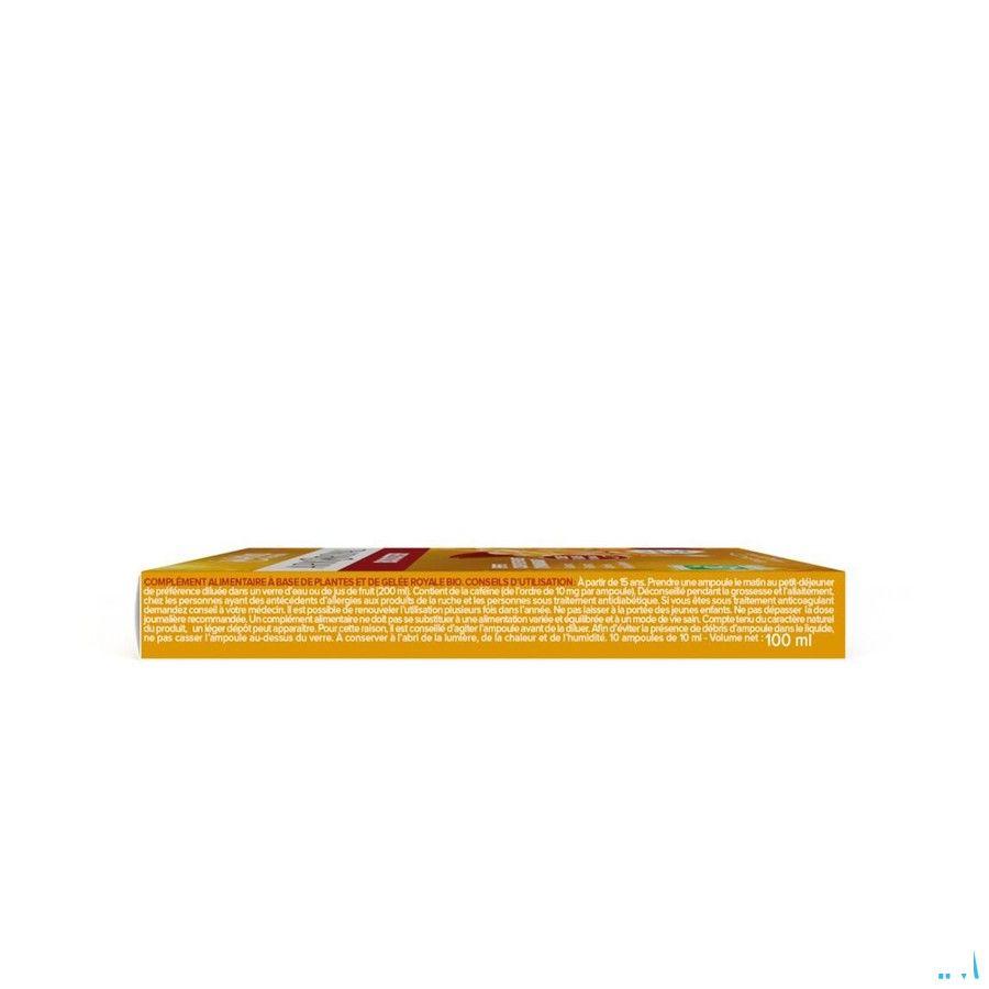 Arkoroyal Booster Amp 10 x 10 ml