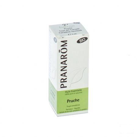 Tsuga Canadensis Bio Essentiele Olie 5 ml  -  Pranarom