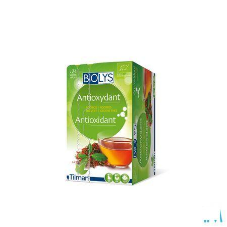 Biolys Rooibos The Vert Sachets 24  -  Tilman