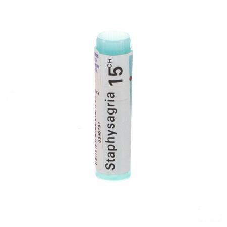 Staphysagria 15CH Gl  -  Boiron