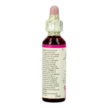 Bach Flower Remedie 11 Elm 20 ml