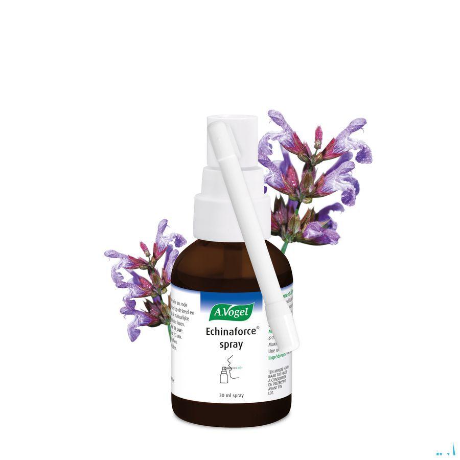 Vogel Echinaforce Keelspray 30 ml  -  A.vogel