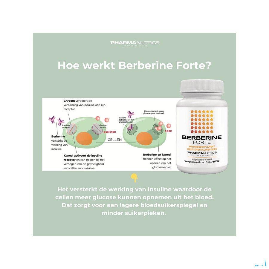 Berberine Forte V-Caps 60 Pharmanutrics