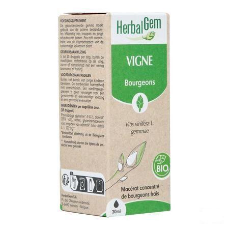 Herbalgem Vigne Bio 30 ml