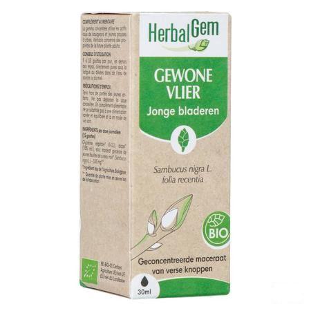 Herbalgem Sureau Noir Bio 30 ml