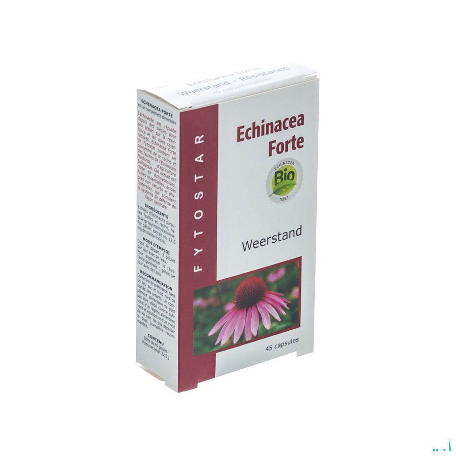 Fytostar Echinacea Forte Capsule 45  -  Ocebio
