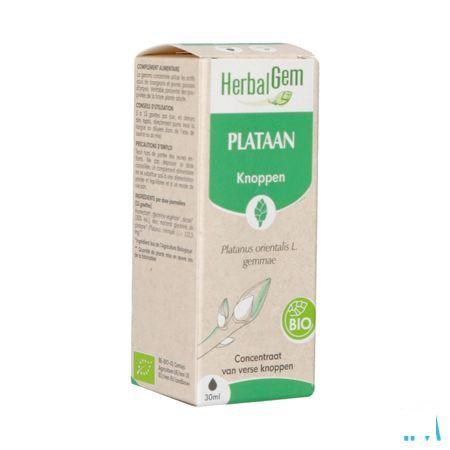 Herbalgem Platane Bio 30 ml