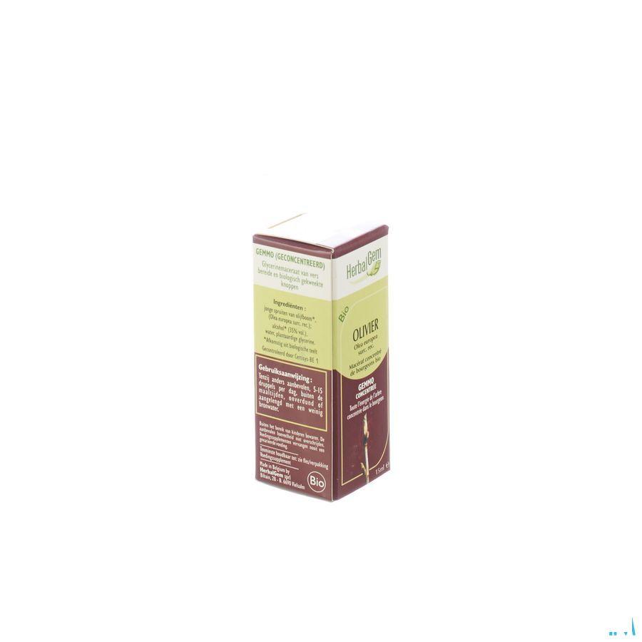 Herbalgem Olijfboom Maceraat 15 ml  -  Herbalgem