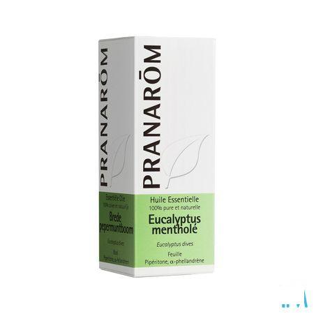 Eucalyptus Menthol Essentiele Olie 10 ml  -  Pranarom