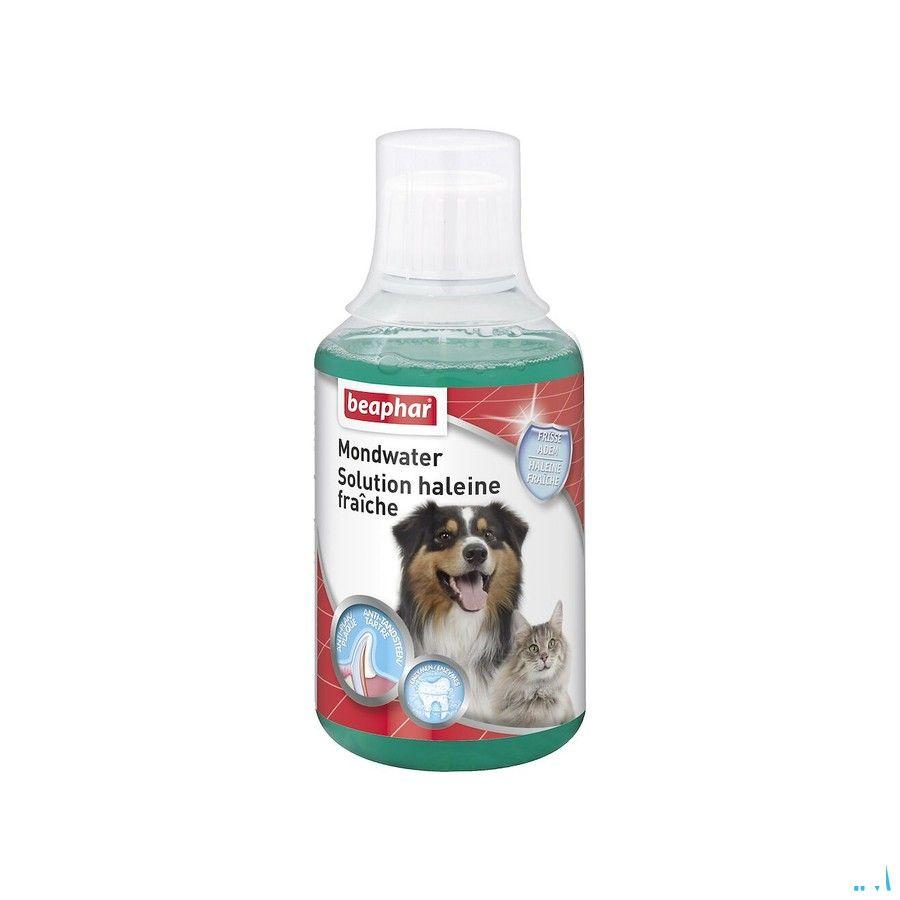 Beaphar Mondwater 250 ml